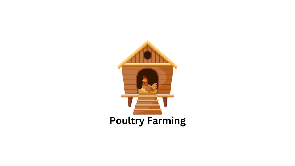 Poultry Farming